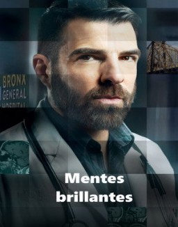 Mentes brillantes temporada 1